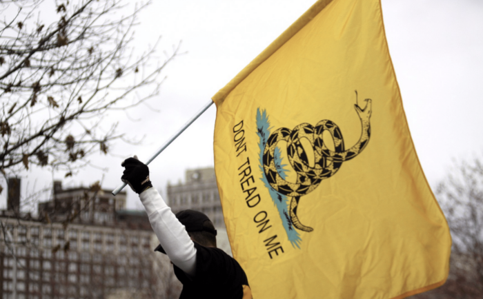 Don’t Tread on Me: The Gadsden Flag and What It Really Means